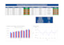 create professional excel and google sheets dashboards